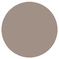 Глиняный Серый K096 SU